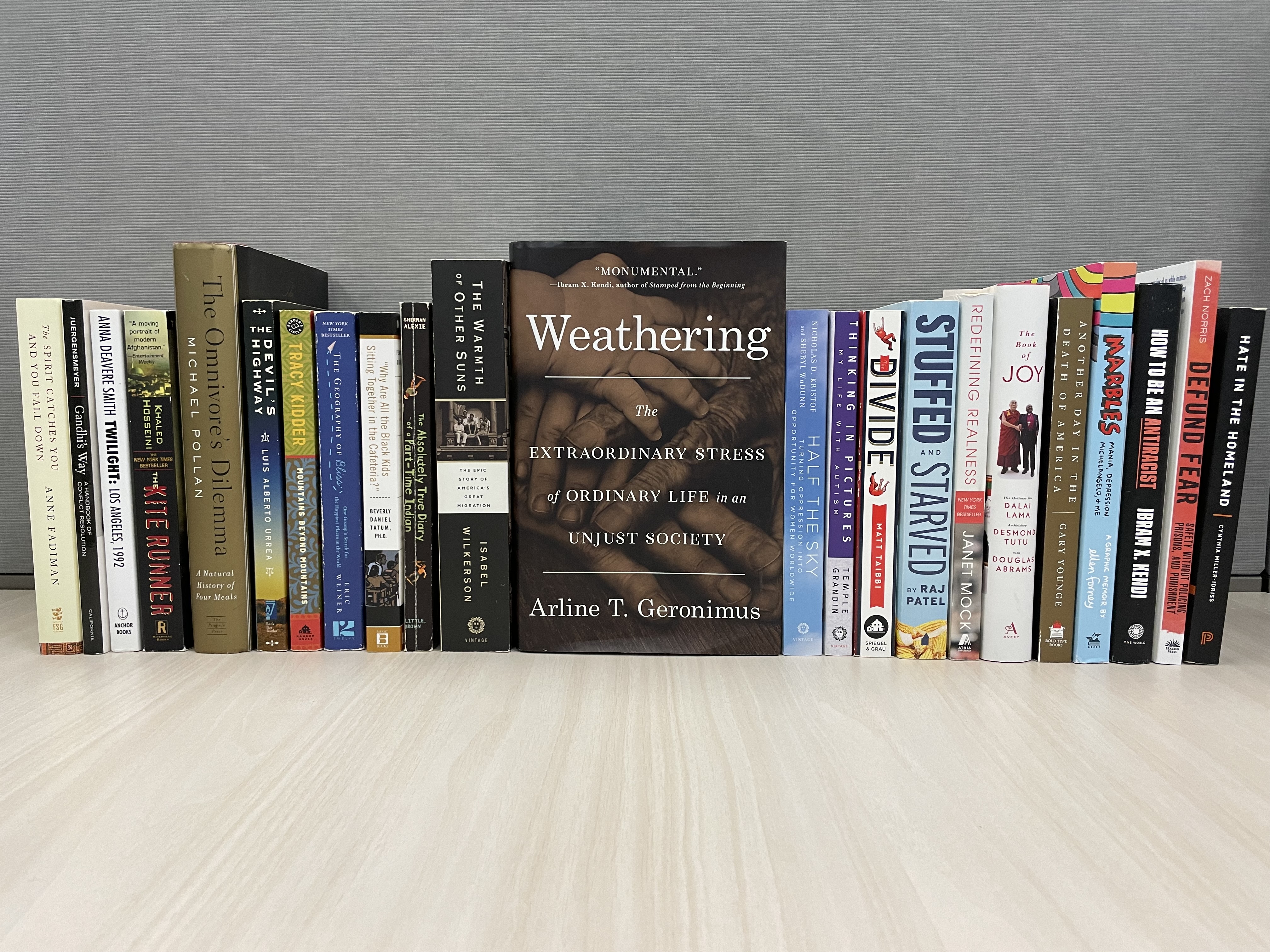 Book Project class photo Weathering front vertical spines.jpg
