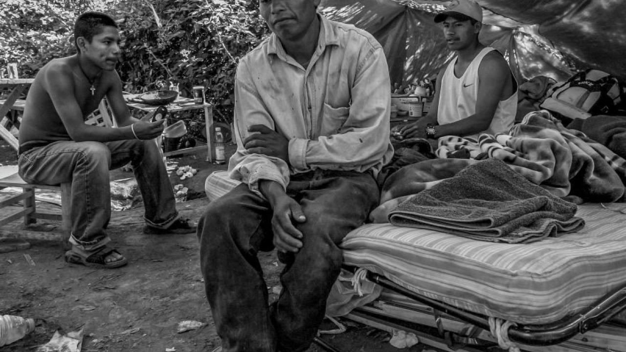 A farm laborer sits on a cot in the foreground, looking down. Two other workers sit in the shade of a tarp in the background.