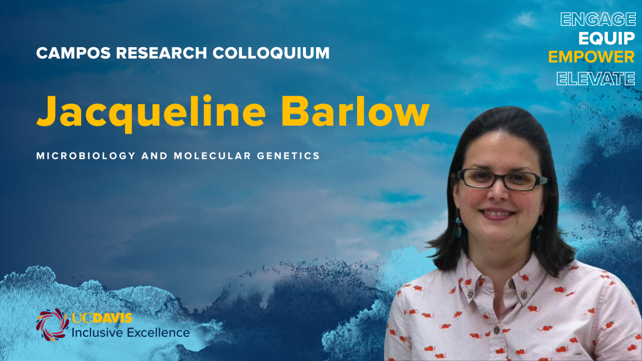 Jacqueline Barlow