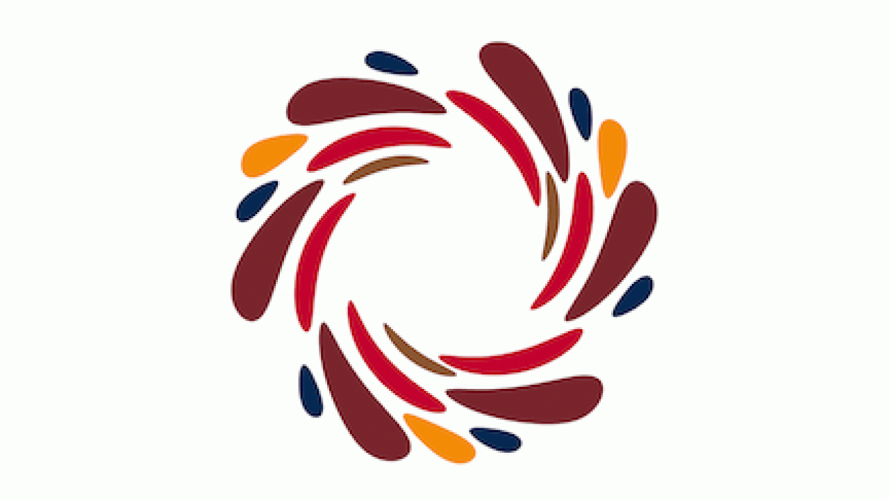 The DEI logo, a circle of red, brown, gold, and blue, moves in a circle.