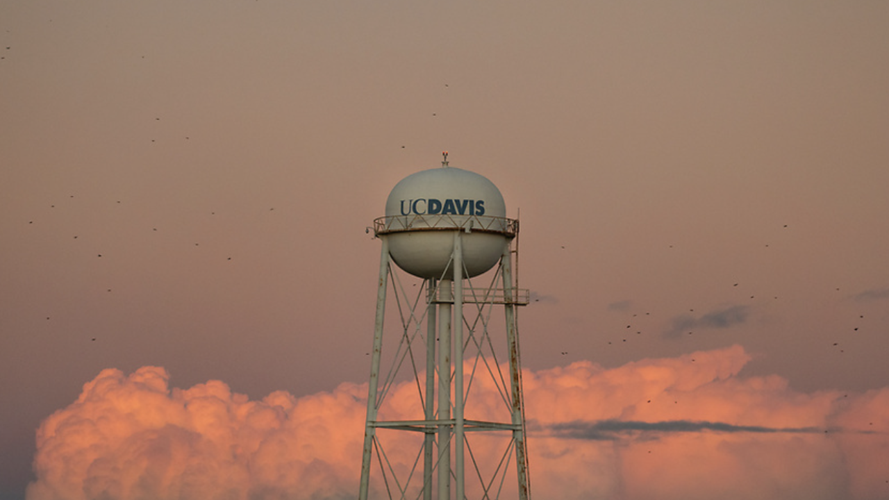 UC Davis water tower rises against a pink and orange sunset sky, with glowing clouds and birds scattered across the scene.