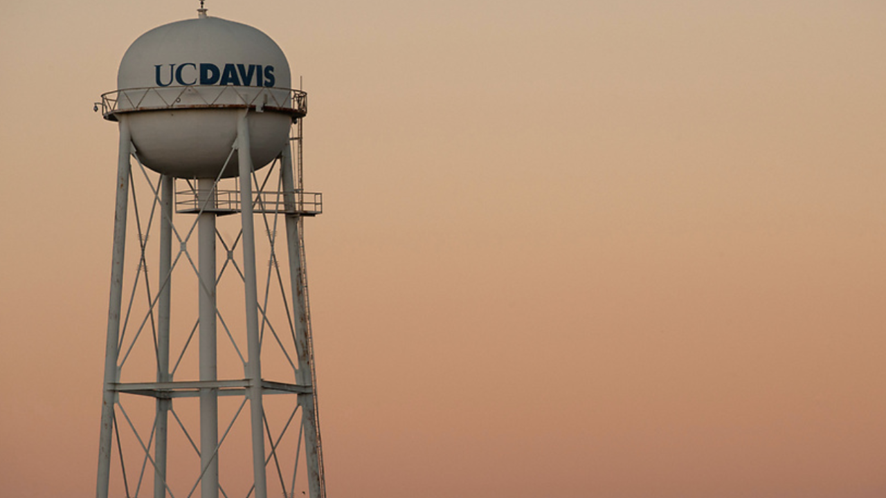 The UC Davis water tower stands against a clear peach-colored sunset sky.