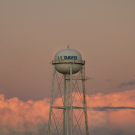 UC Davis water tower rises against a pink and orange sunset sky, with glowing clouds and birds scattered across the scene.